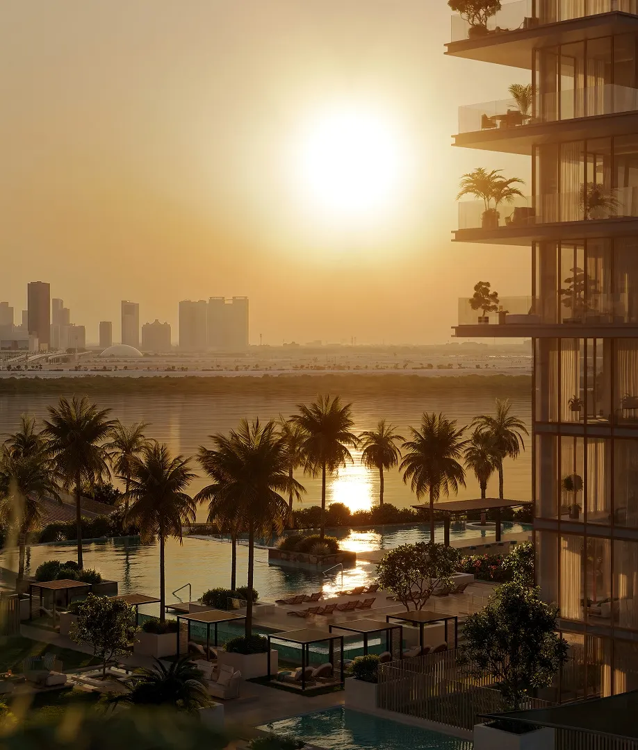 Palm garden at sunset